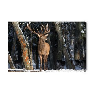 Peinture sur toile Un Cerf Parmi Les Arbres – Image 2