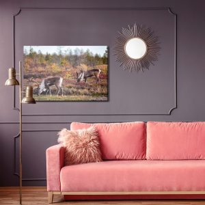 Peinture sur toile Cerf De Sibérie – Image 4