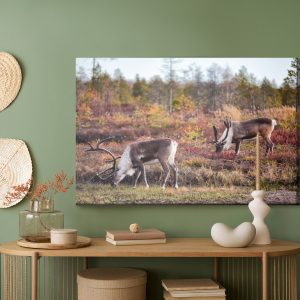 Peinture sur toile Cerf De Sibérie – Image 5
