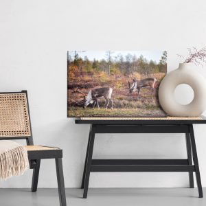 Peinture sur toile Cerf De Sibérie – Image 6