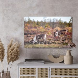 Peinture sur toile Cerf De Sibérie – Image 3