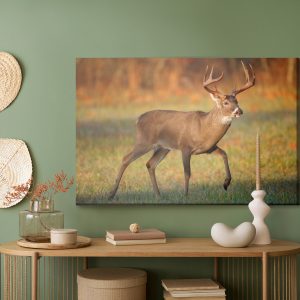 Peinture sur toile Cerf De Virginie – Image 5