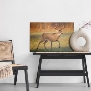 Peinture sur toile Cerf De Virginie – Image 6