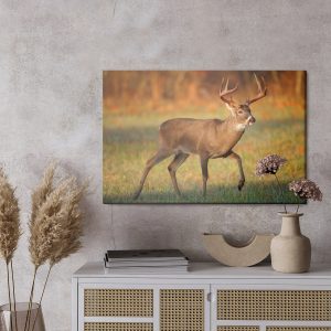 Peinture sur toile Cerf De Virginie – Image 3