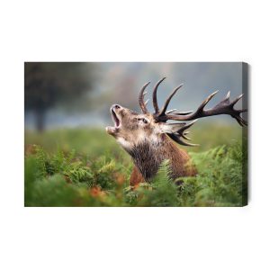 Peinture sur toile Un Cerf Rugissant – Image 2