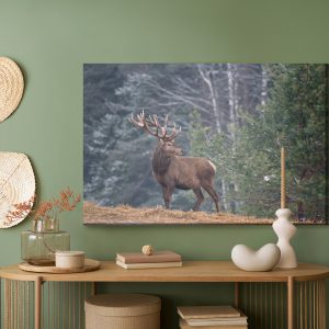 Peinture sur toile Un Cerf Majestueux Dans La Forêt – Image 5