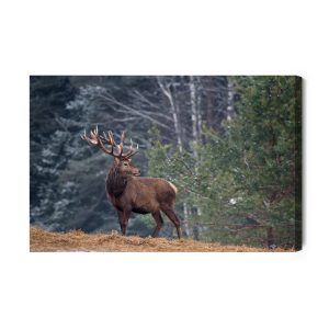 Peinture sur toile Un Cerf Majestueux Dans La Forêt – Image 2