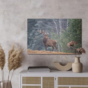 Peinture sur toile Un Cerf Majestueux Dans La Forêt – Image 3