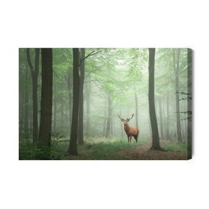 Peinture sur toile Cerf Dans La Forêt Brumeuse – Image 2