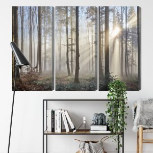 Peinture en plusieurs parties Lever Du Soleil Dans Les Bois – Image 9