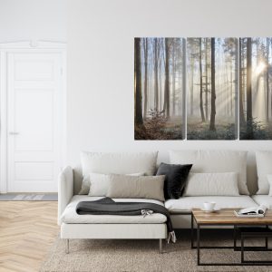 Peinture en plusieurs parties Lever Du Soleil Dans Les Bois – Image 6
