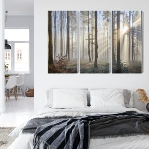 Peinture en plusieurs parties Lever Du Soleil Dans Les Bois – Image 7