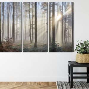 Peinture en plusieurs parties Lever Du Soleil Dans Les Bois – Image 8