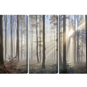 Peinture en plusieurs parties Lever Du Soleil Dans Les Bois – Image 2