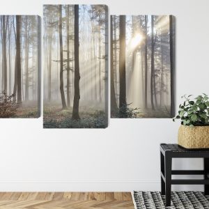 Peinture en plusieurs parties Lever Du Soleil Dans Les Bois – Image 8