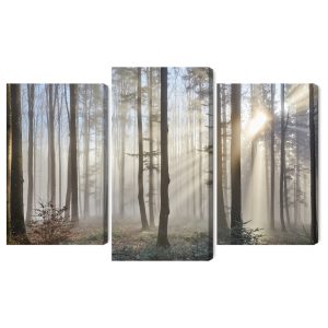 Peinture en plusieurs parties Lever Du Soleil Dans Les Bois – Image 2