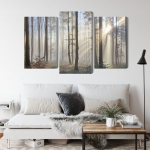 Peinture en plusieurs parties Lever Du Soleil Dans Les Bois – Image 4