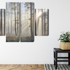 Peinture en plusieurs parties Lever Du Soleil Dans Les Bois – Image 8