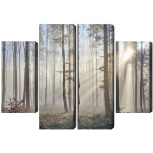 Peinture en plusieurs parties Lever Du Soleil Dans Les Bois – Image 2