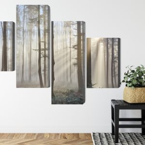 Peinture en plusieurs parties Lever Du Soleil Dans Les Bois – Image 8