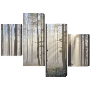 Peinture en plusieurs parties Lever Du Soleil Dans Les Bois – Image 2