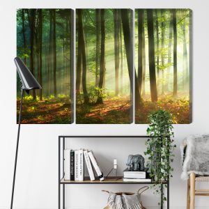 Peinture en plusieurs parties Les Rayons Du Soleil Dans La Forêt – Image 9