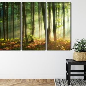 Peinture en plusieurs parties Les Rayons Du Soleil Dans La Forêt – Image 8