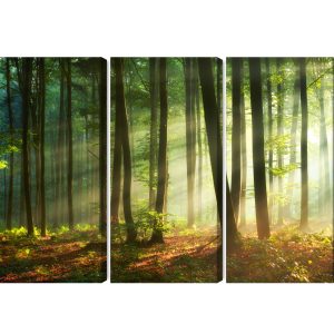 Peinture en plusieurs parties Les Rayons Du Soleil Dans La Forêt – Image 2