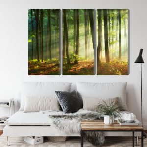 Peinture en plusieurs parties Les Rayons Du Soleil Dans La Forêt – Image 4