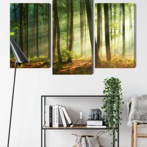 Peinture en plusieurs parties Les Rayons Du Soleil Dans La Forêt – Image 9
