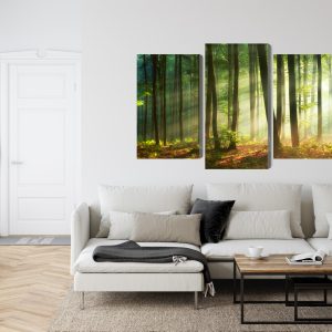 Peinture en plusieurs parties Les Rayons Du Soleil Dans La Forêt – Image 6