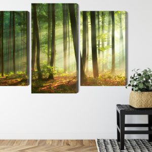Peinture en plusieurs parties Les Rayons Du Soleil Dans La Forêt – Image 8