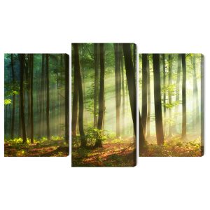 Peinture en plusieurs parties Les Rayons Du Soleil Dans La Forêt – Image 2