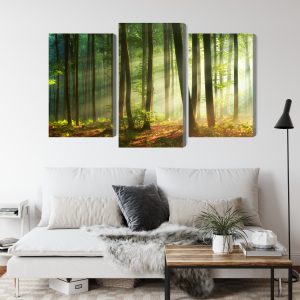 Peinture en plusieurs parties Les Rayons Du Soleil Dans La Forêt – Image 4