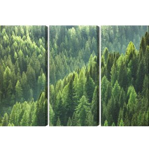 Peinture en plusieurs parties Le Vert De La Forêt – Image 2