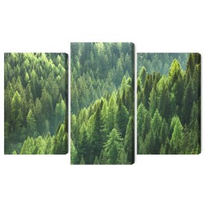 Peinture en plusieurs parties Le Vert De La Forêt – Image 2