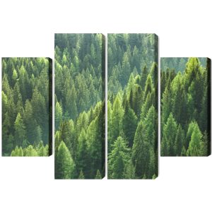 Peinture en plusieurs parties Le Vert De La Forêt – Image 2
