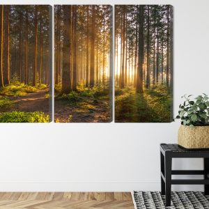 Peinture en plusieurs parties Coucher De Soleil Dans La Forêt – Image 8