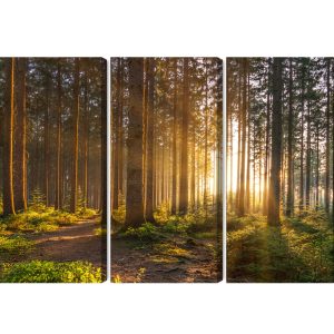 Peinture en plusieurs parties Coucher De Soleil Dans La Forêt – Image 2