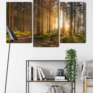 Peinture en plusieurs parties Coucher De Soleil Dans La Forêt – Image 9