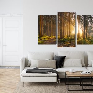 Peinture en plusieurs parties Coucher De Soleil Dans La Forêt – Image 6