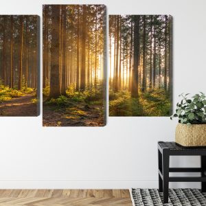 Peinture en plusieurs parties Coucher De Soleil Dans La Forêt – Image 8