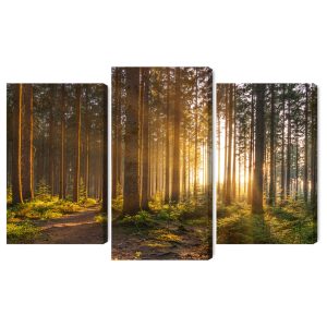 Peinture en plusieurs parties Coucher De Soleil Dans La Forêt – Image 2