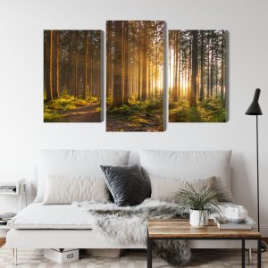 Peinture en plusieurs parties Coucher De Soleil Dans La Forêt – Image 4