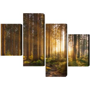 Peinture en plusieurs parties Coucher De Soleil Dans La Forêt – Image 2