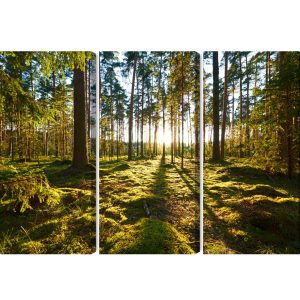 Peinture en plusieurs parties Paysage Forestier Avec Coucher De Soleil – Image 2