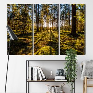 Peinture en plusieurs parties Rayons De Soleil Du Matin Dans La Forêt – Image 9