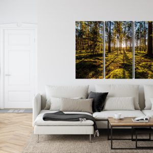 Peinture en plusieurs parties Rayons De Soleil Du Matin Dans La Forêt – Image 6