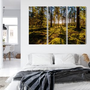 Peinture en plusieurs parties Rayons De Soleil Du Matin Dans La Forêt – Image 7