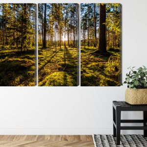 Peinture en plusieurs parties Rayons De Soleil Du Matin Dans La Forêt – Image 8